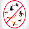 Pest Control Termite (Bunglows & Offices)