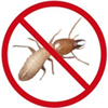 Pest Control Termite 3 BHK