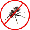 General Pest Control (Sprey) 3 BHK